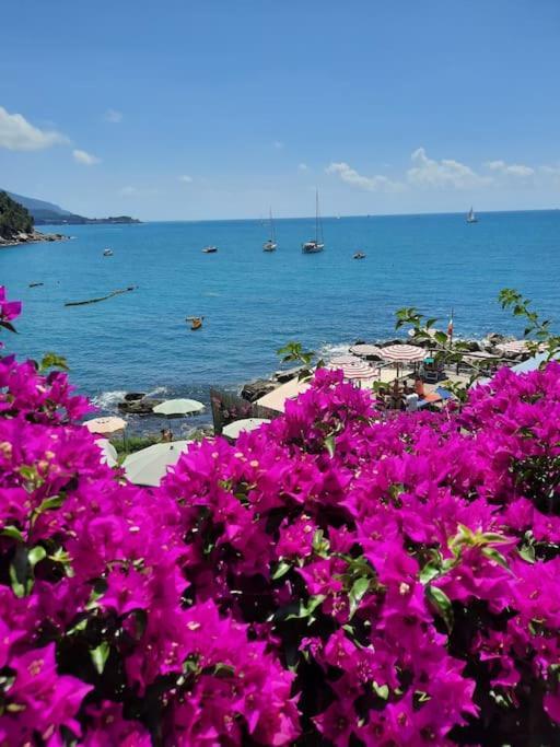 Apartmán La Terrazza Sul Golfo Dei Poeti Con Vista Mare Pitelli Exteriér fotografie